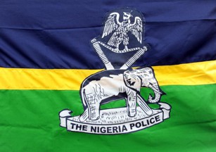 Image result for nigeria police logo